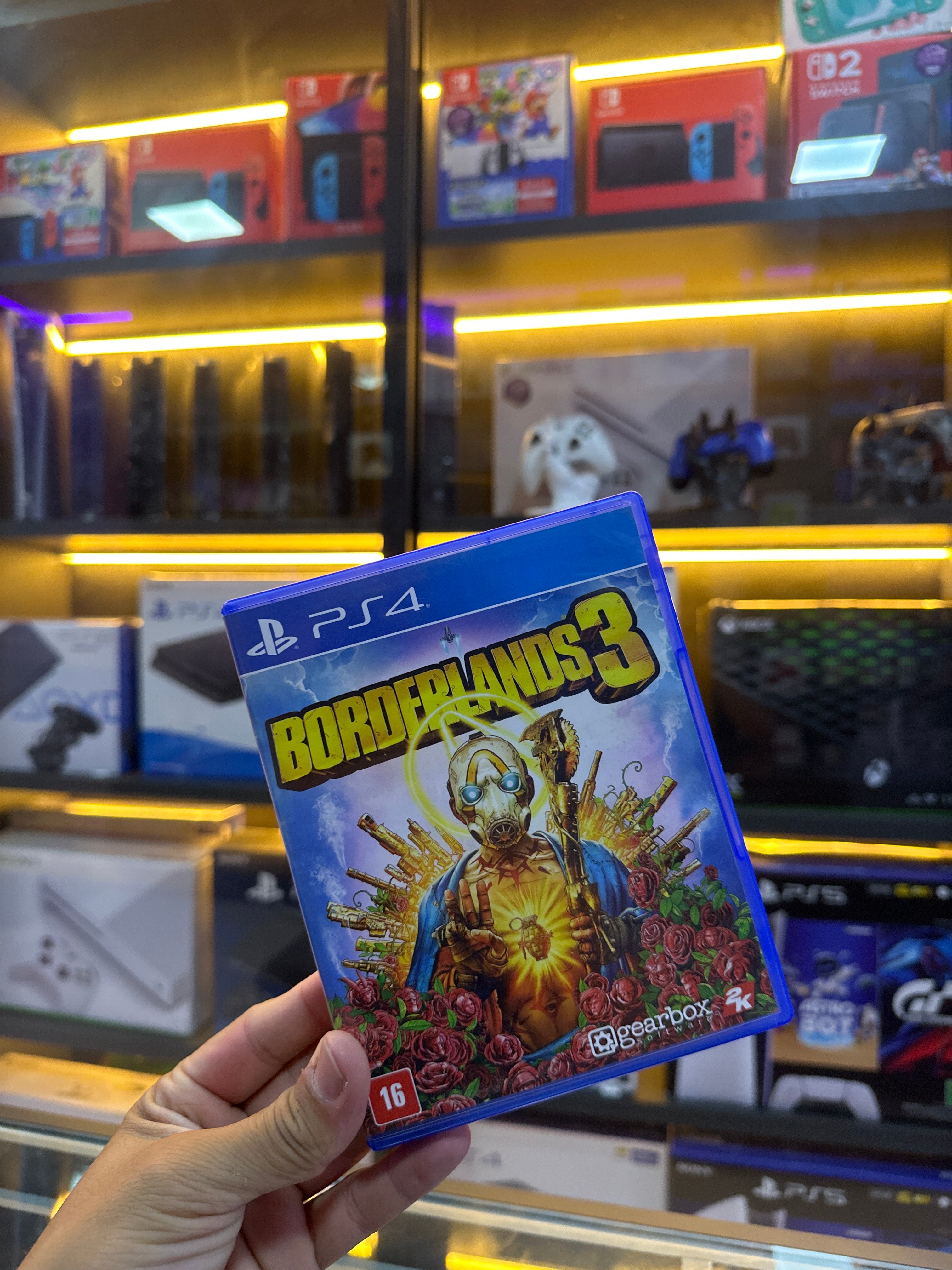 Borderlands 3 Standard Edition ps4 (semi novo)