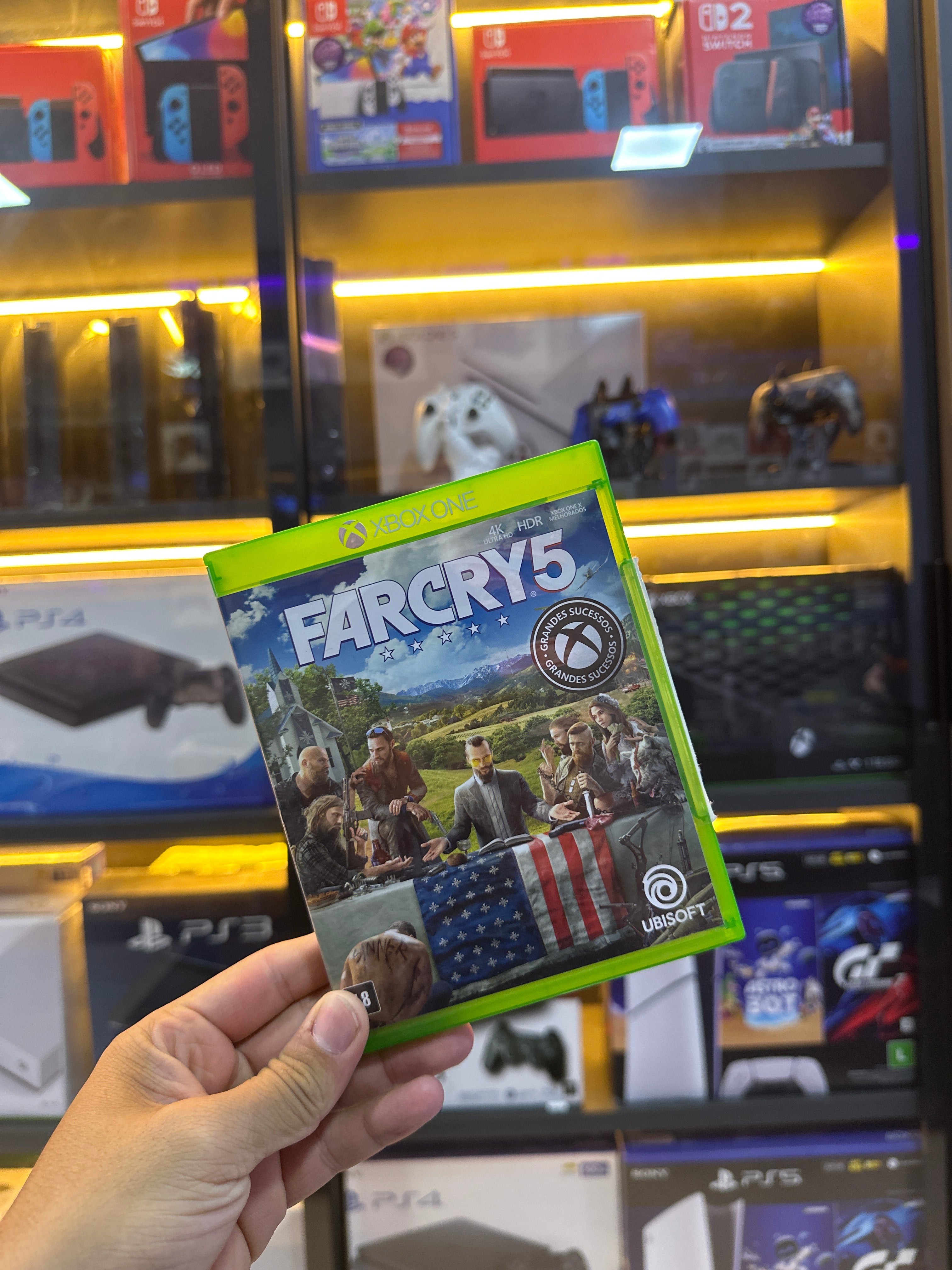 Far Cry 5 Standard Edition (semi novo)