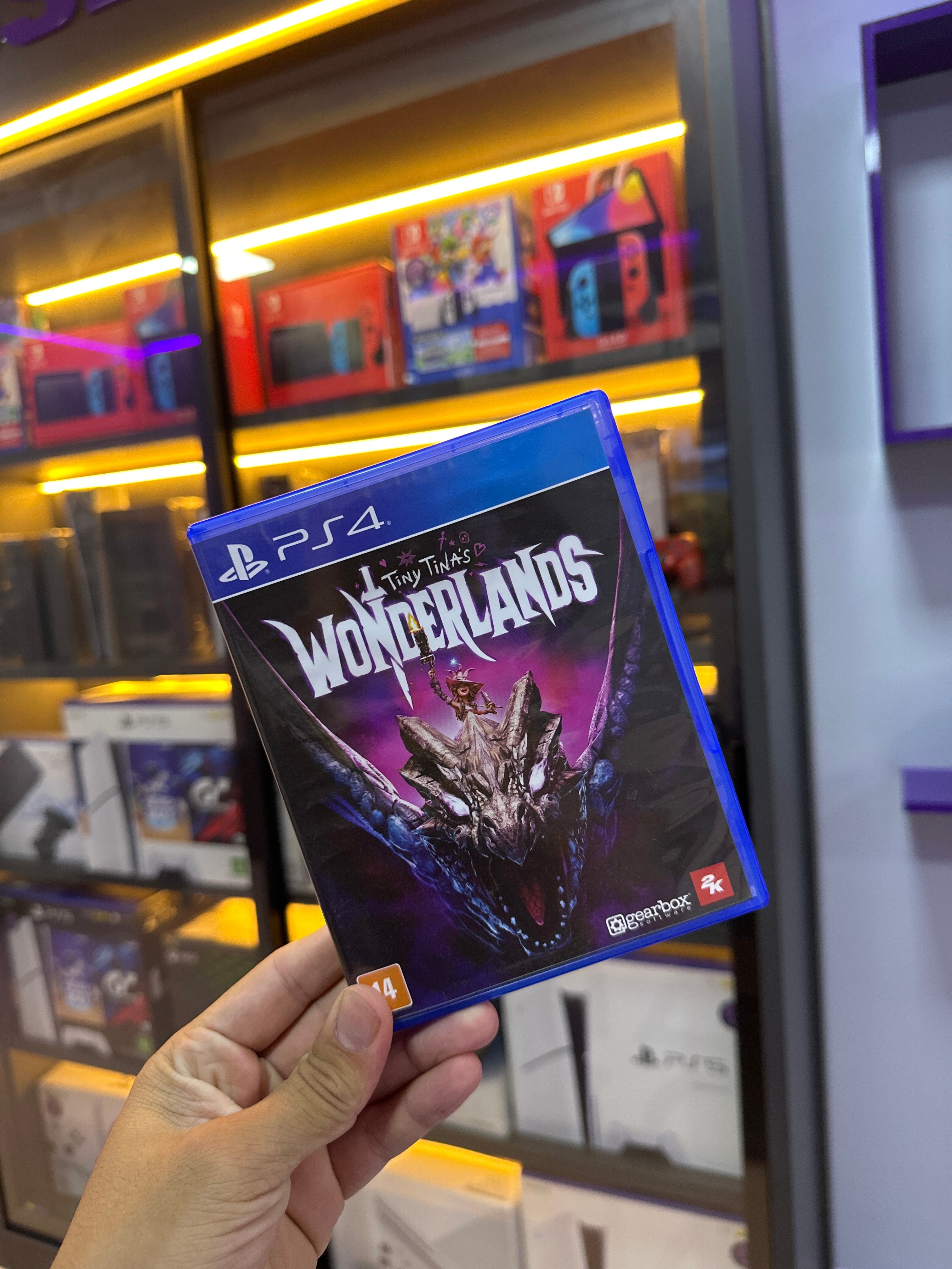 Jogo Tiny Tina´s Wonderlands - Ps4 (semi novo)