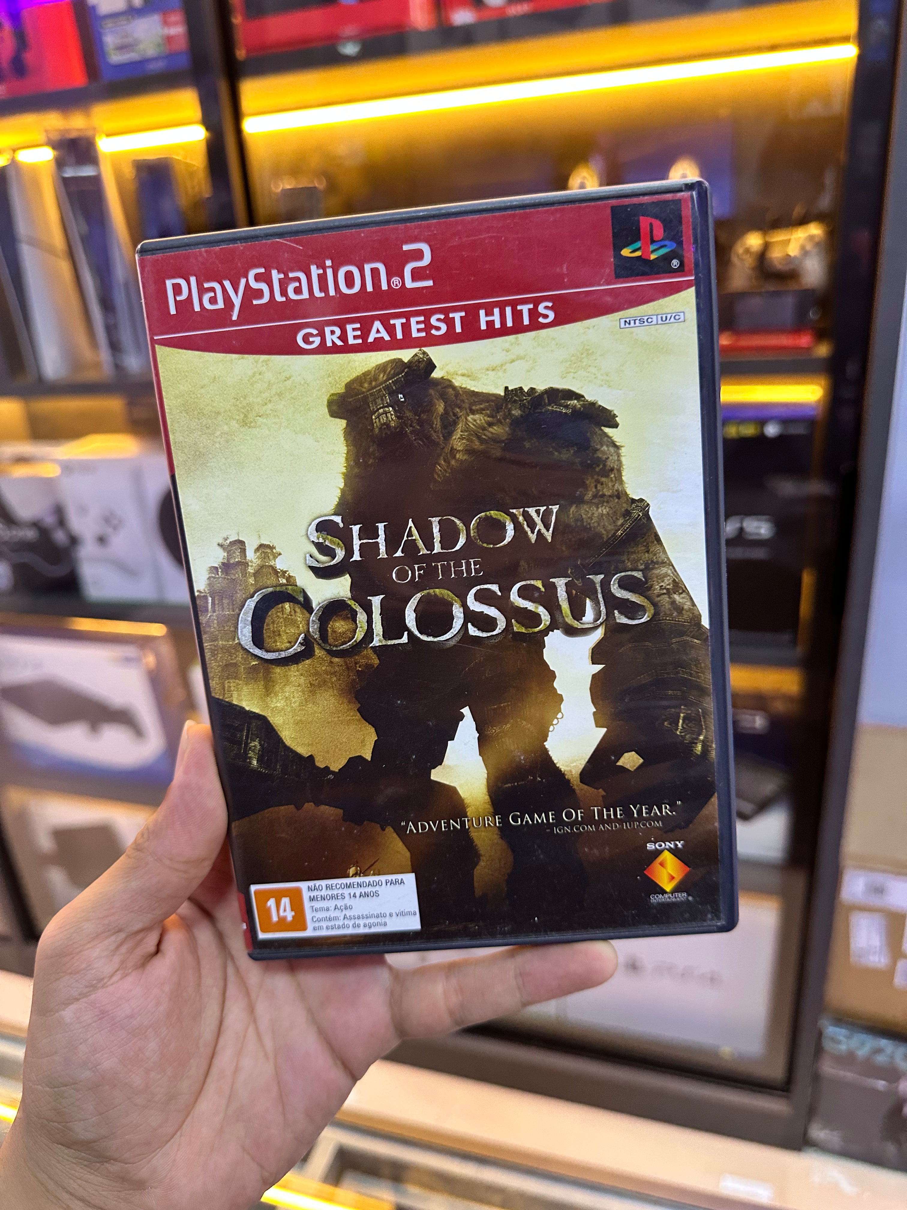 Jogo Shadow of the Colossus - PS2 seminovo