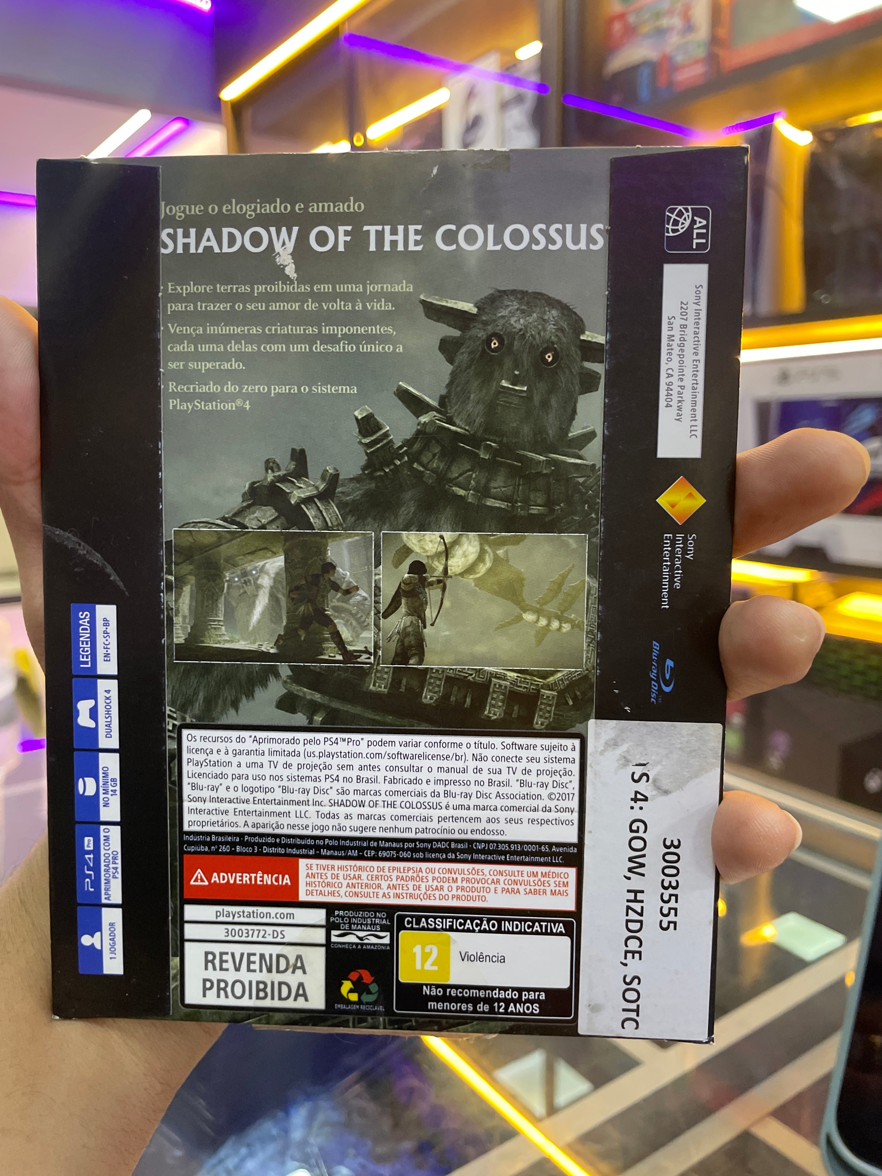 Jogo Shadow of the Colossus - PS4 (seminovo)