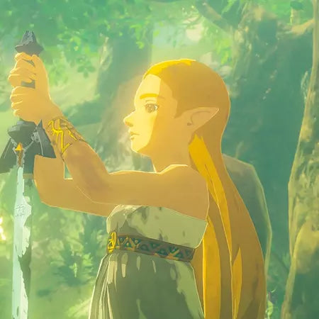 The Legend Of Zelda: Breath Of The Wild Nintendo Switch 2