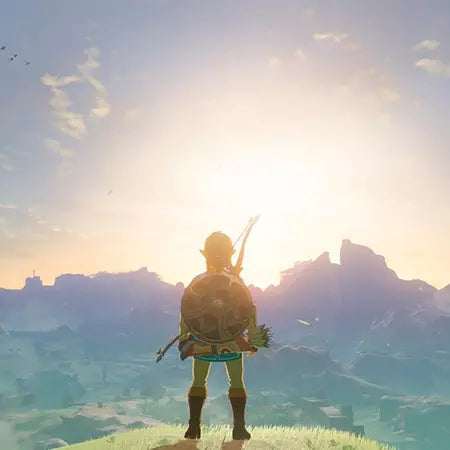 The Legend Of Zelda: Breath Of The Wild Nintendo Switch 2